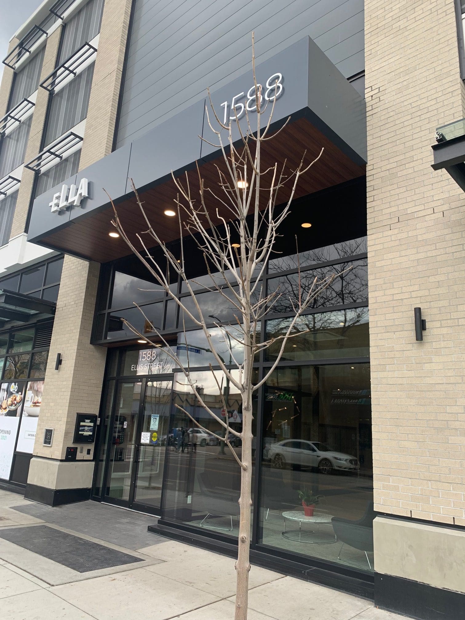 2 Bed 2 Bath Luxury Condo Avail Nov 1 Associated Property Management